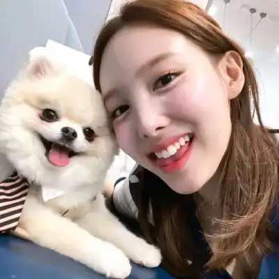 胡琪